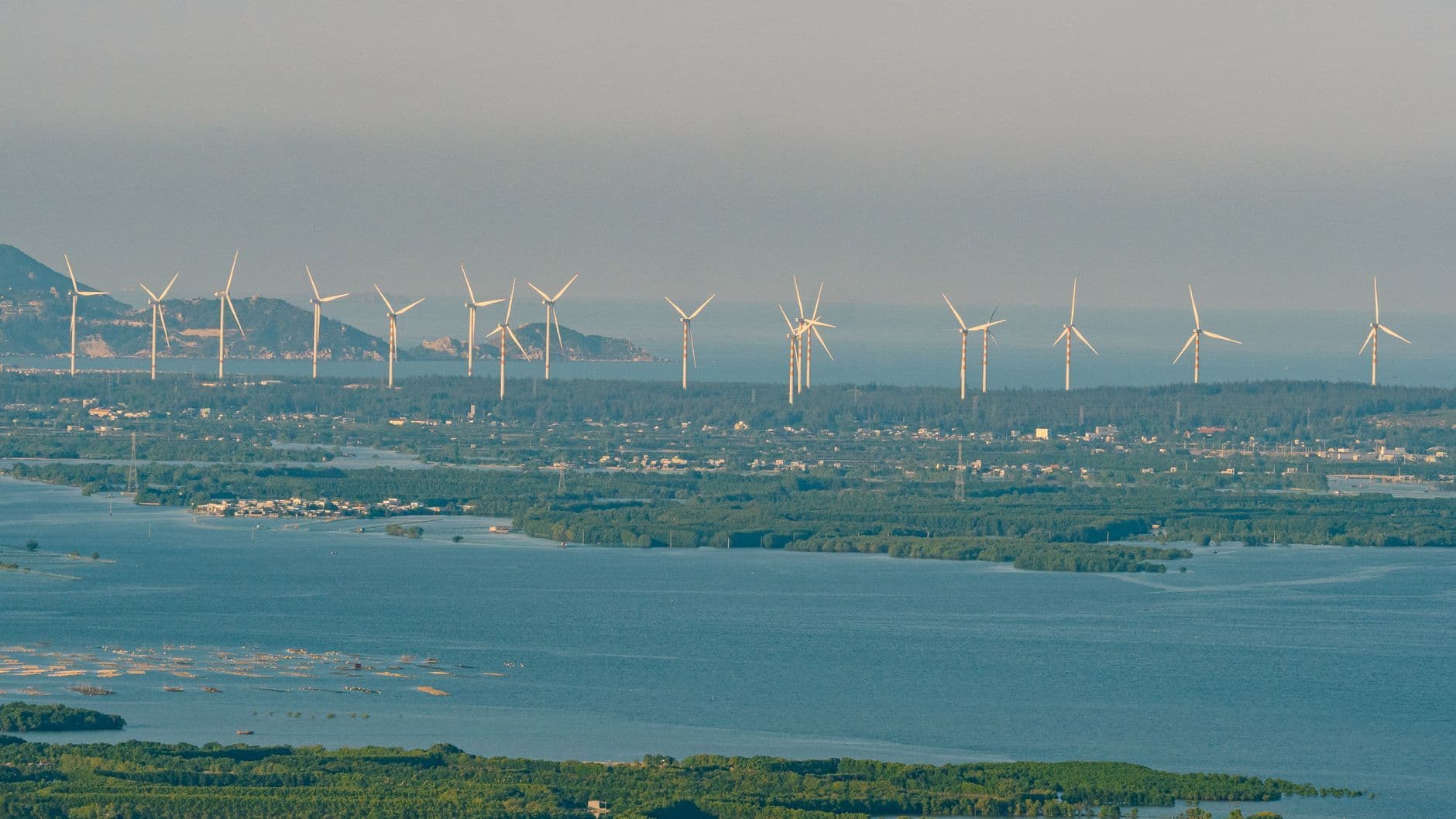 Vũ Bụi